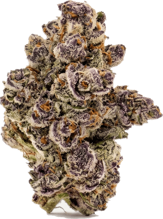 Apple Fritter