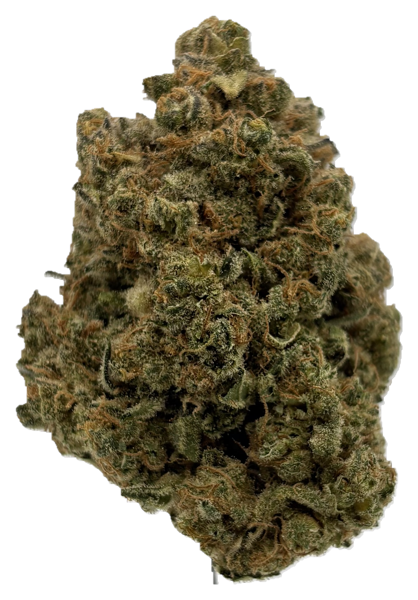 Chocolate Mint OG