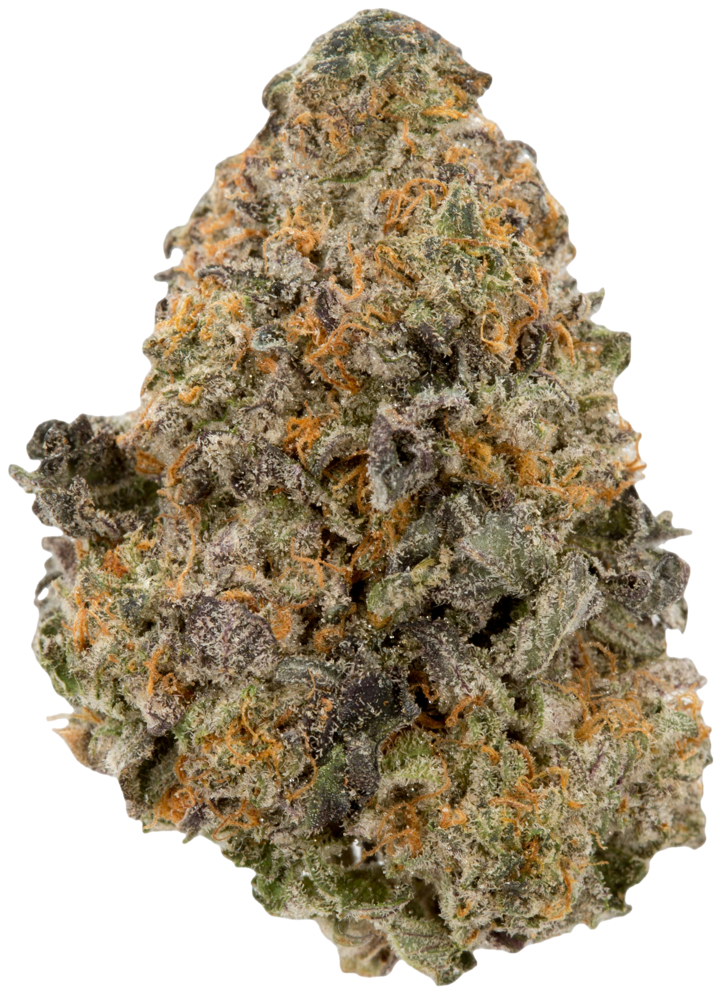 Gelato 33