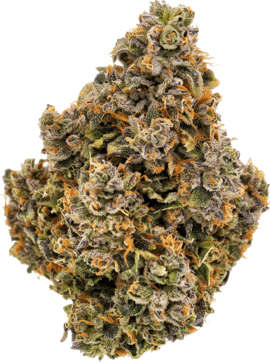 Georgia Pie